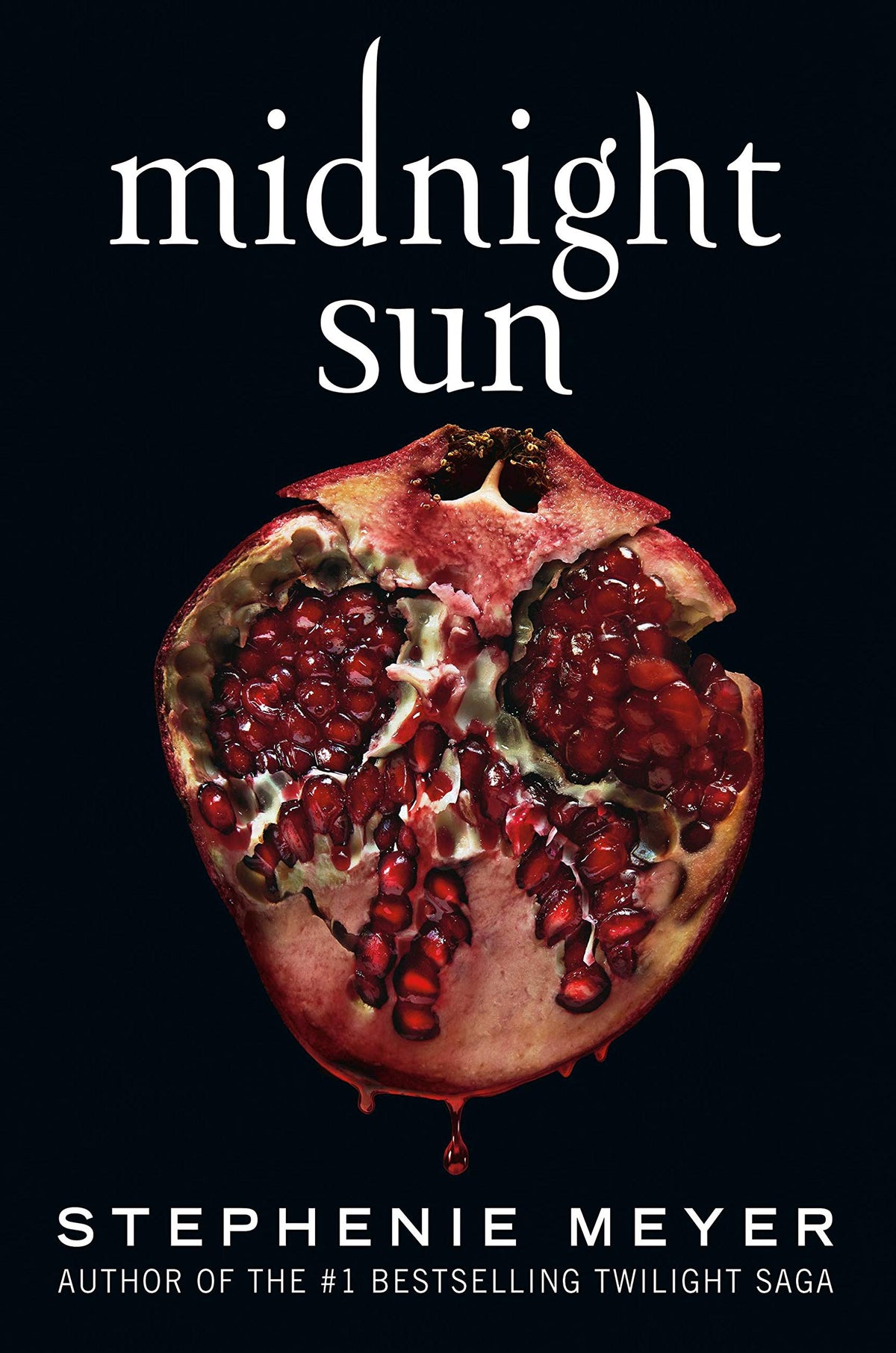 Midnight Sun- hardcover