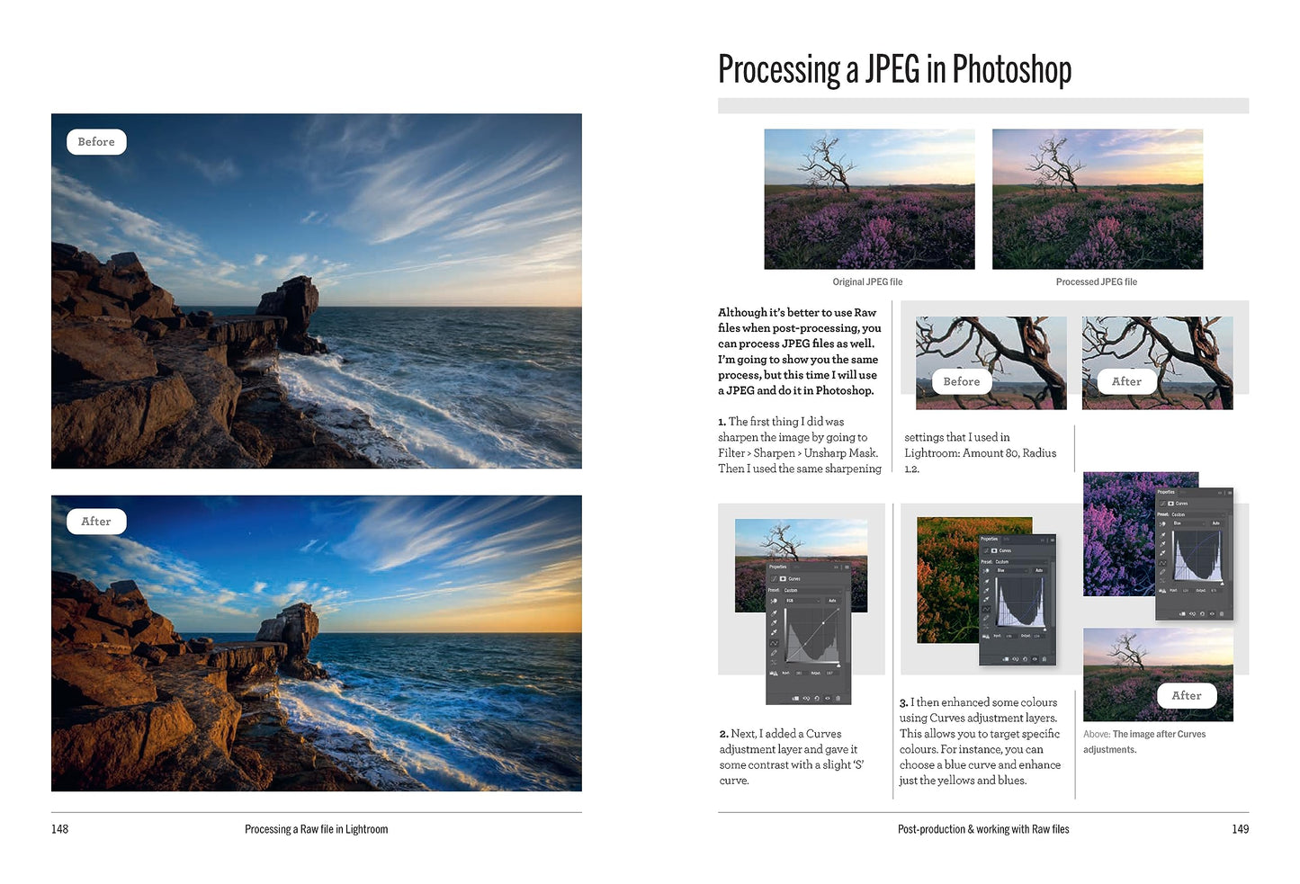 The School of Photography: Beginner’s Guide: Master your camera, clear up confusion, create stunning imagery