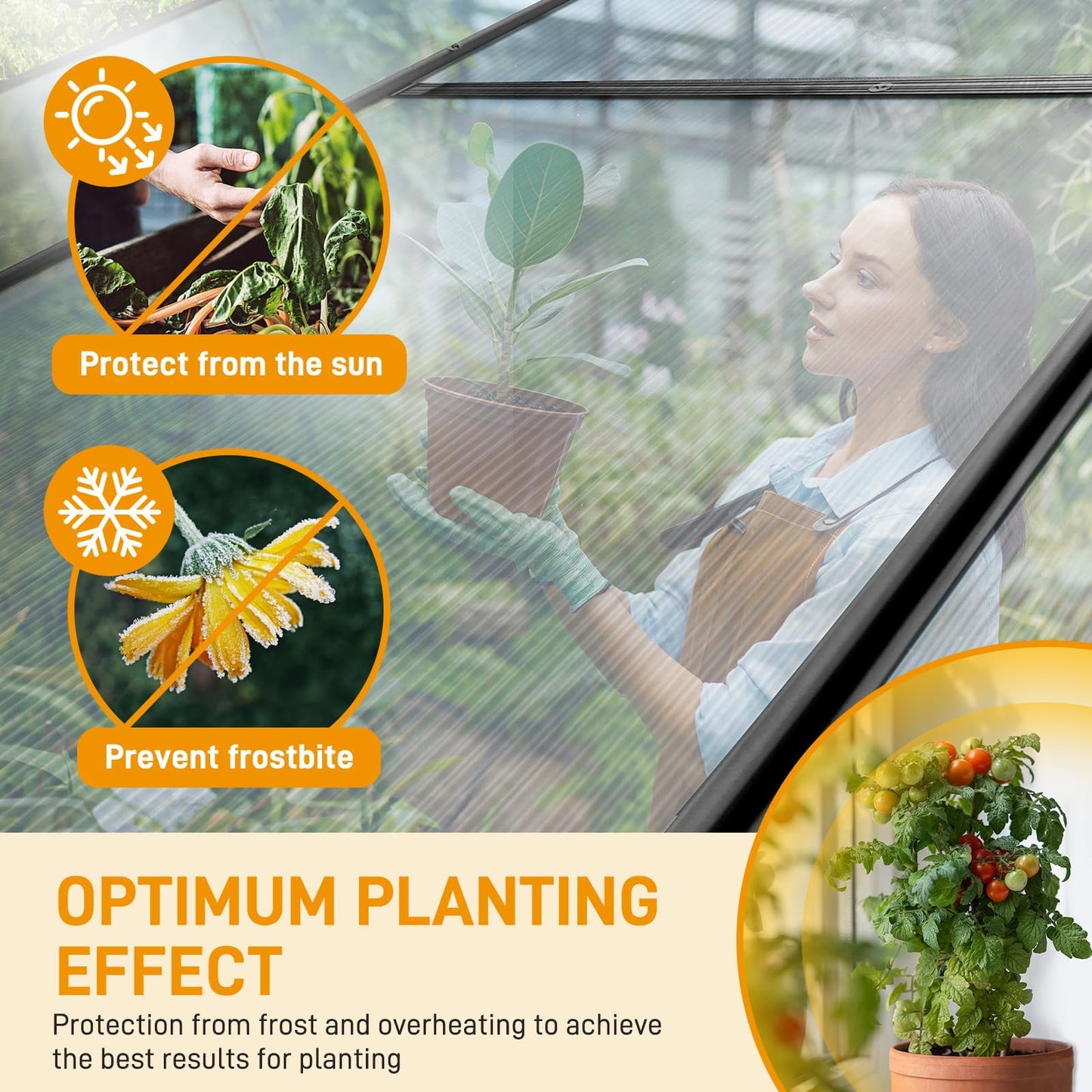 6x10 FT Greenhouse for Outdoors, Polycarbonate Heavy Duty Green House