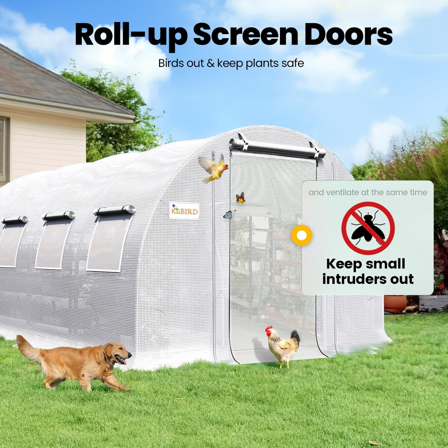 Premium 20x10x6.6FT Greenhouse for Outdoors, hoop, White