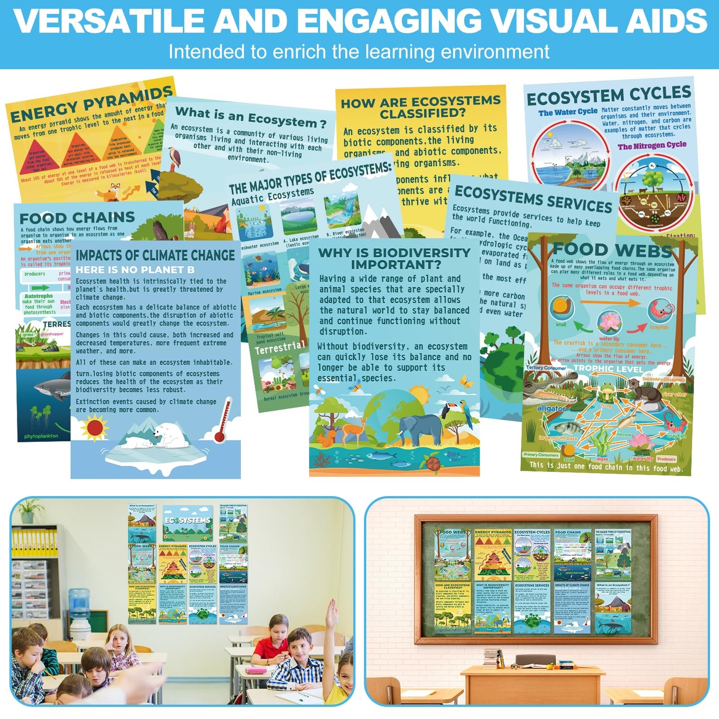 Pasimy 11 Pcs Science Biology Posters- Ecosystems