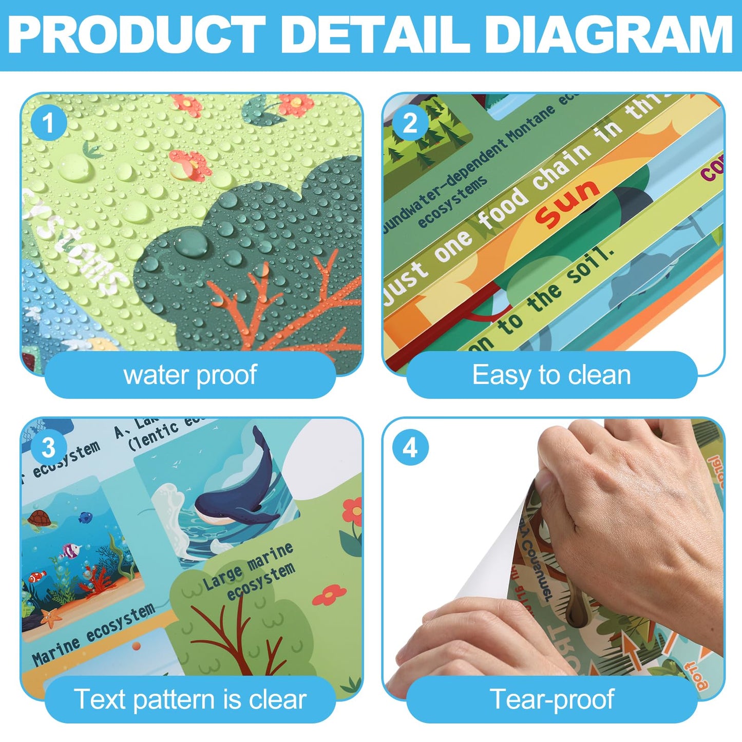 Pasimy 11 Pcs Science Biology Posters- Ecosystems