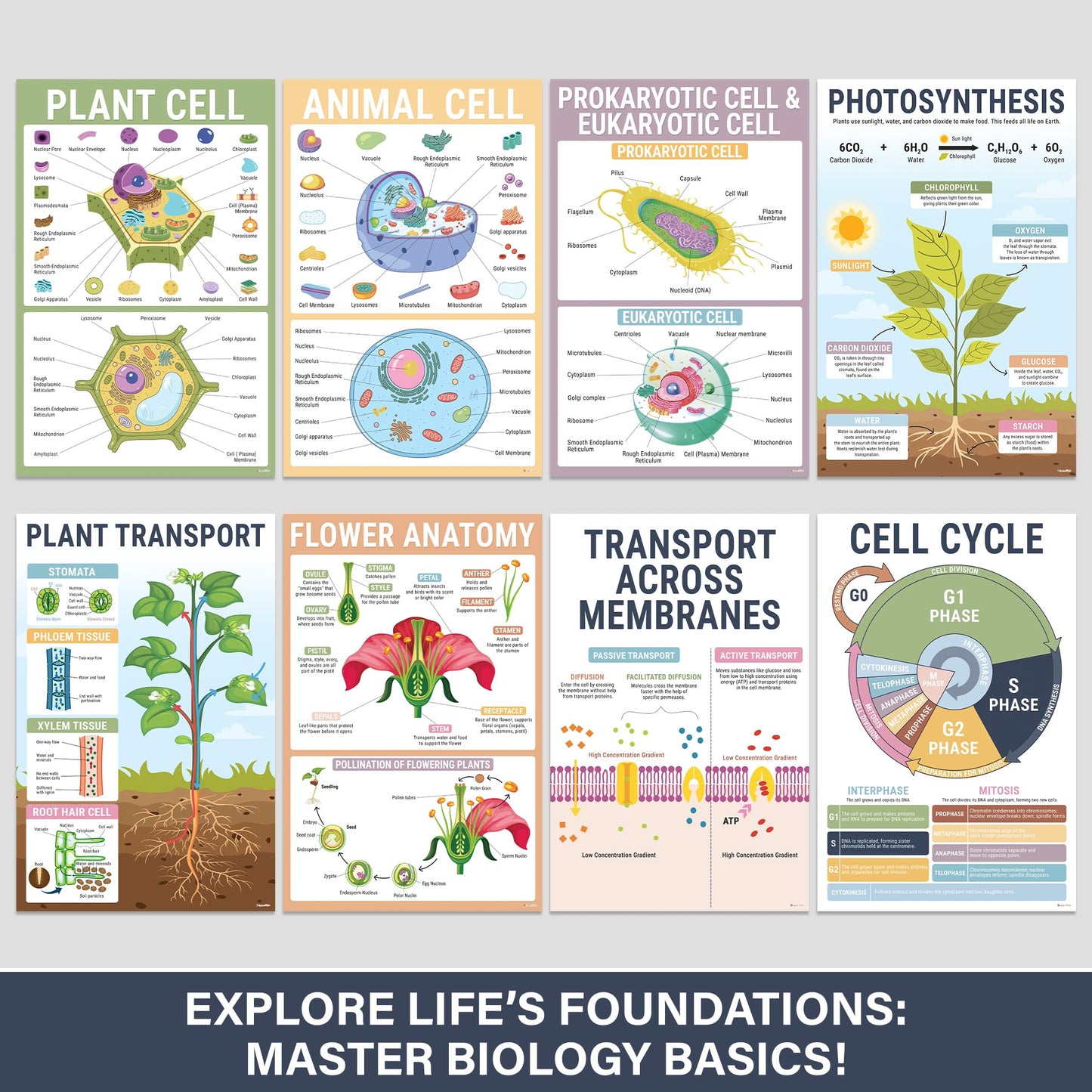 BrightenKidz Science Posters Pack 11x17