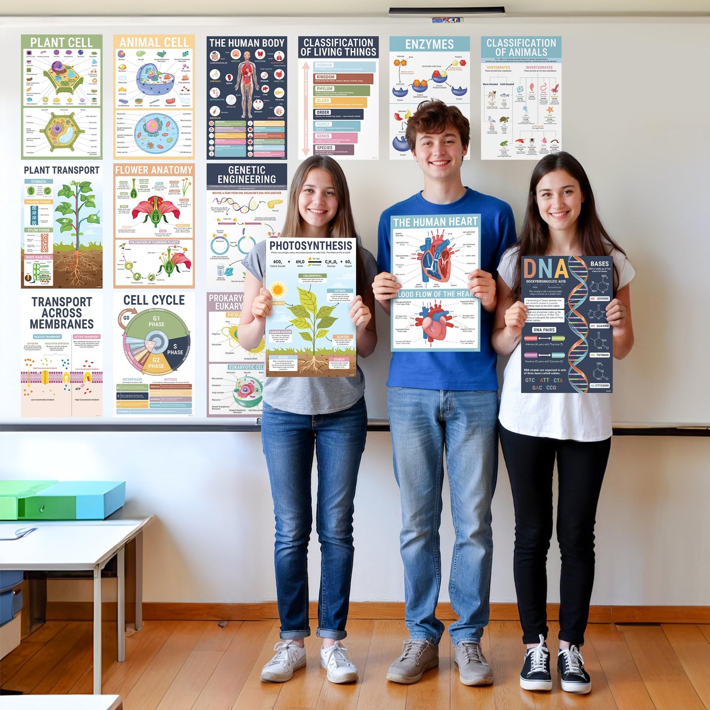 BrightenKidz Science Posters Pack 11x17