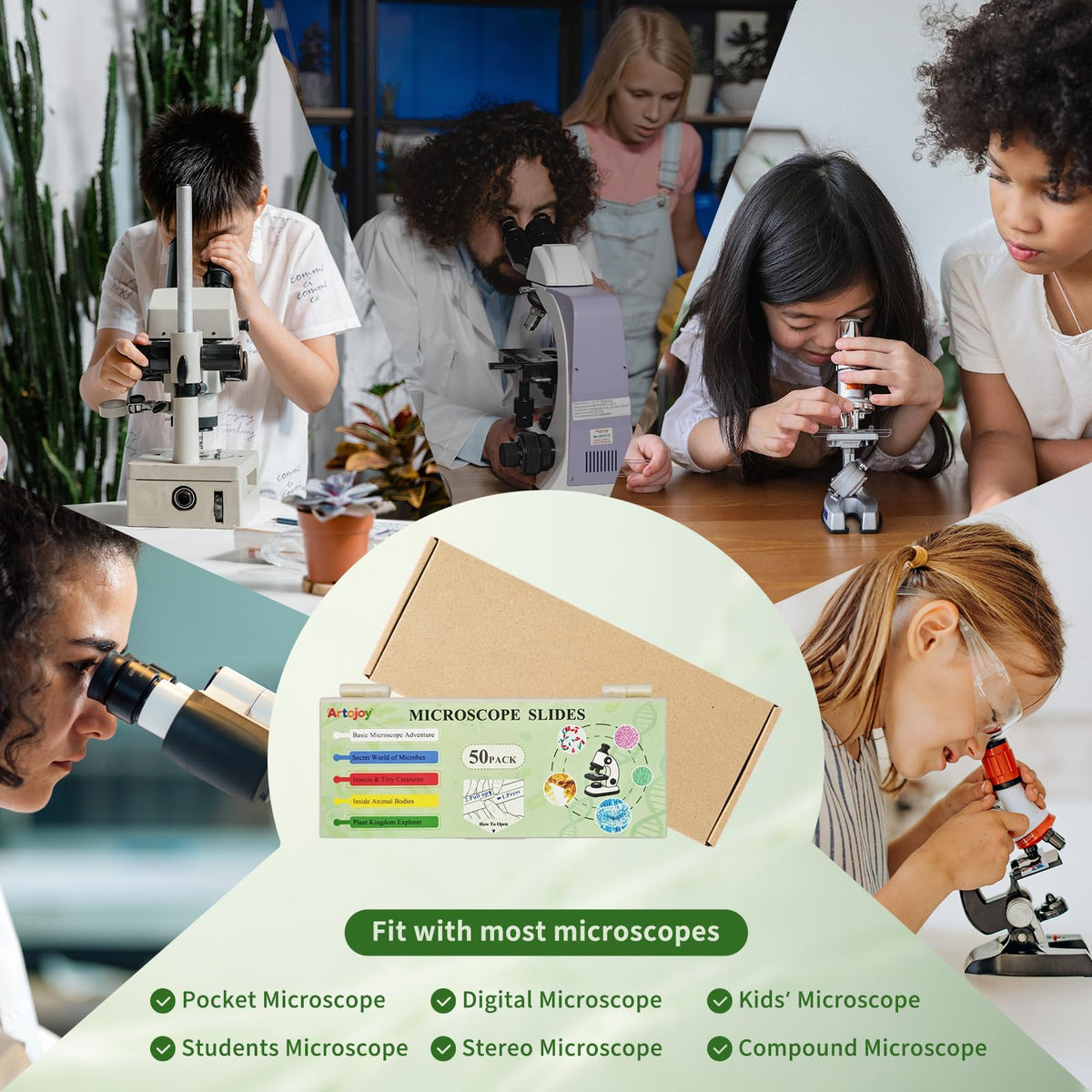 Artojoy 50 PCS Prepared Microscope Slides with Specimens Biology STEM Kit