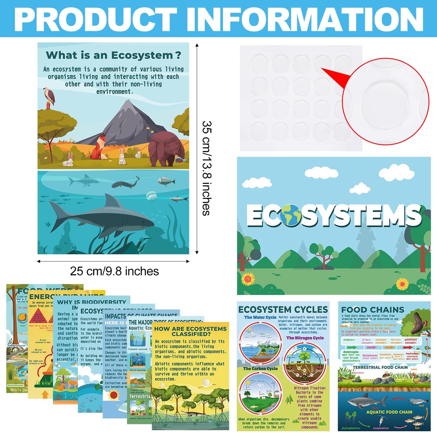 Pasimy 11 Pcs Science Biology Posters- Ecosystems
