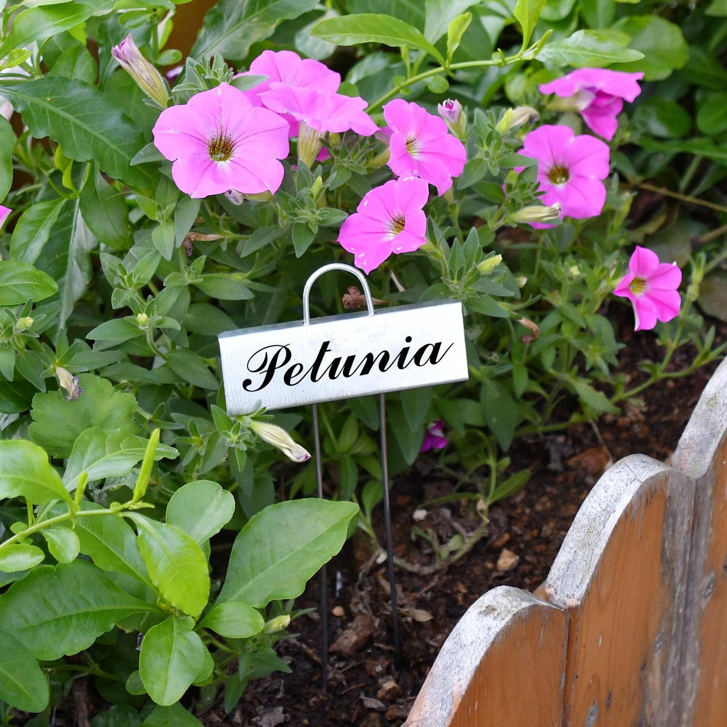 30 Pack Metal Plant Labels for Outdoor Garden Waterproof Plant Markers