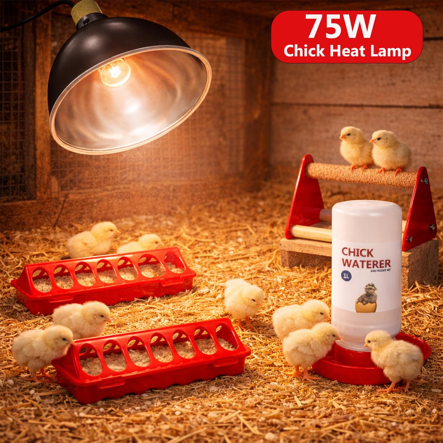 Chick Heat Lamp, 5 Pcs Chick Starter Kit with Chick Feeder and Waterer Set