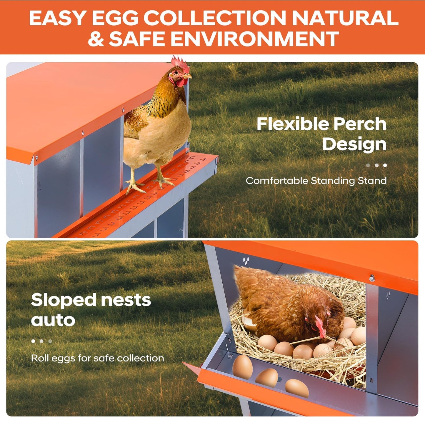 Garvee Chicken Nesting Box, 10 Compartments Nesting Box for Chickens