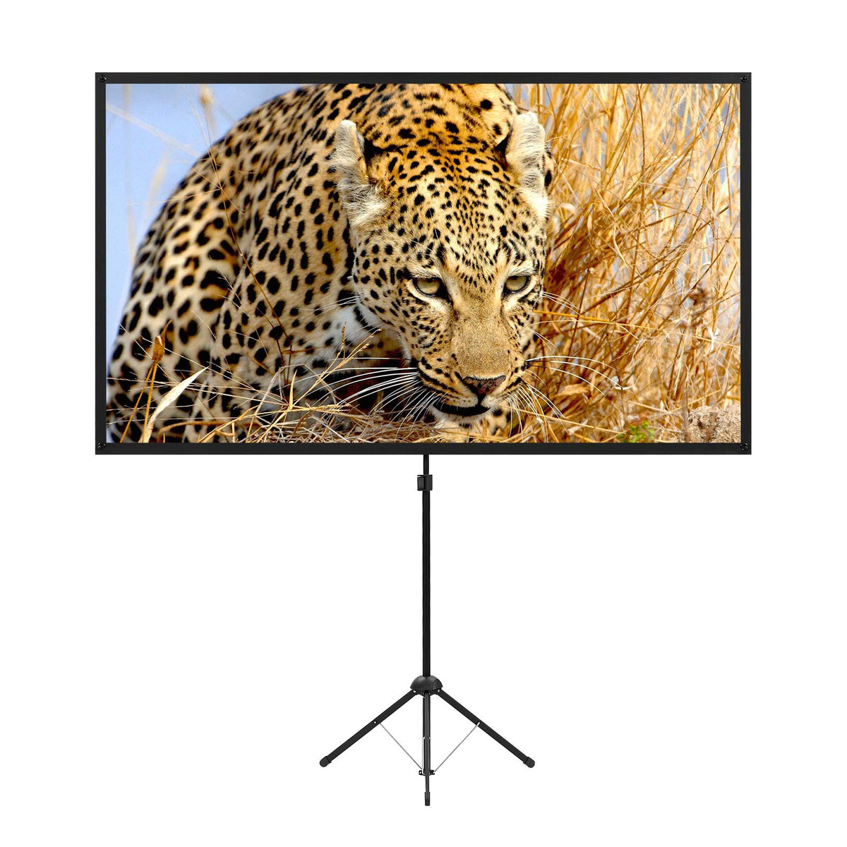 Portable Projector Screen