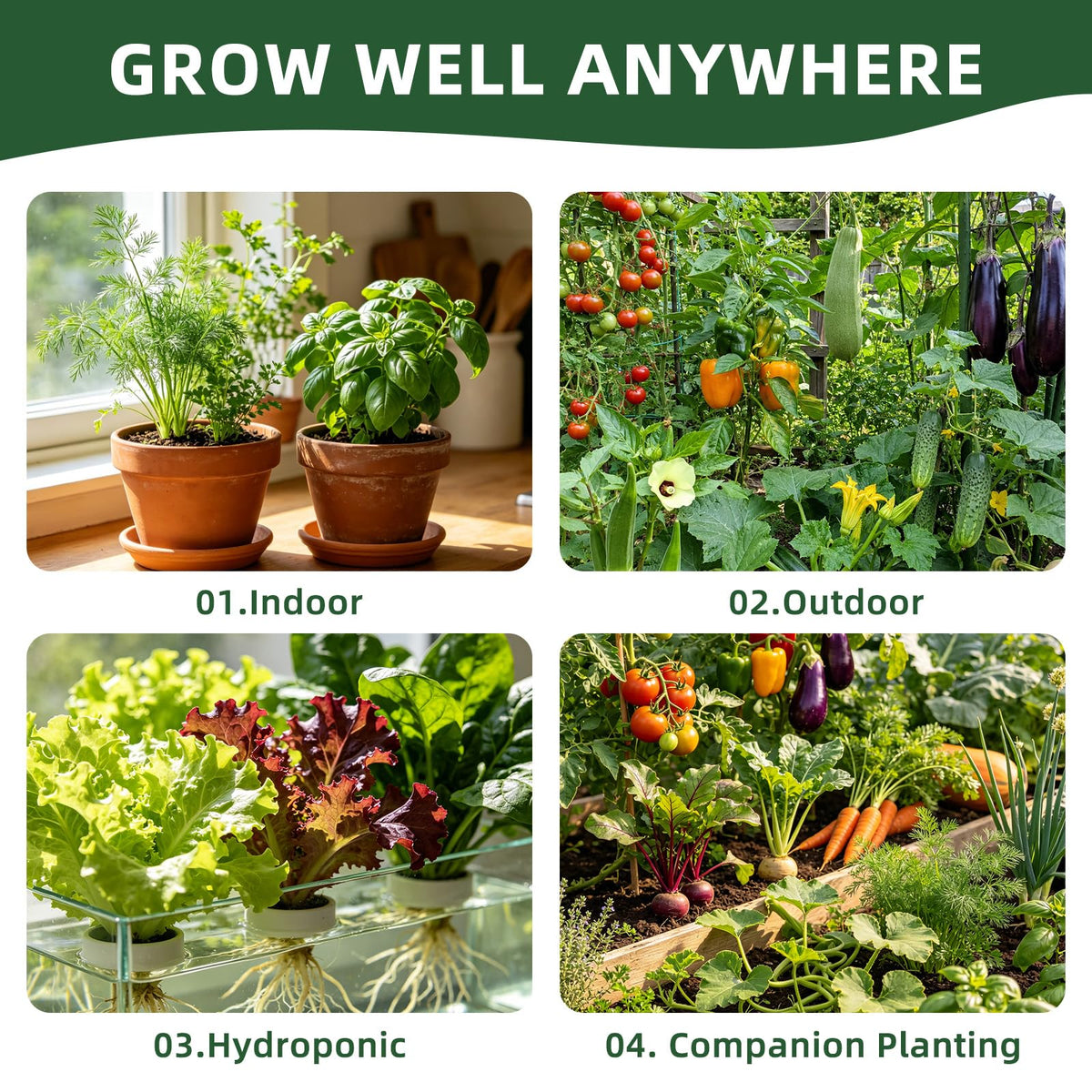 Fall Winter Vegetable Heirloom Seeds-20,000+ High Yield Garden Seeds
