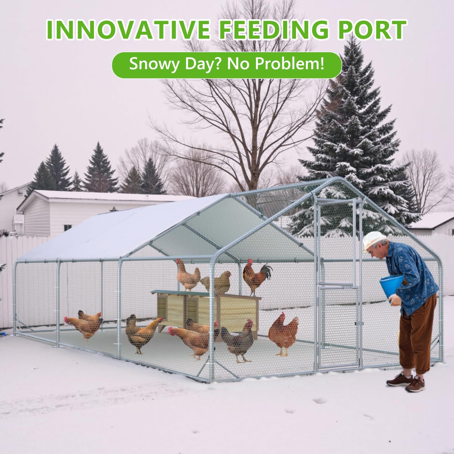 Large Chicken Coop- CTE