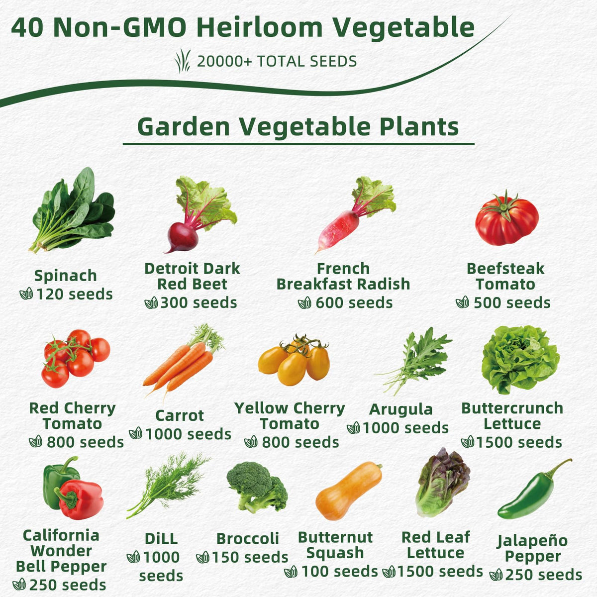 Fall Winter Vegetable Heirloom Seeds-20,000+ High Yield Garden Seeds