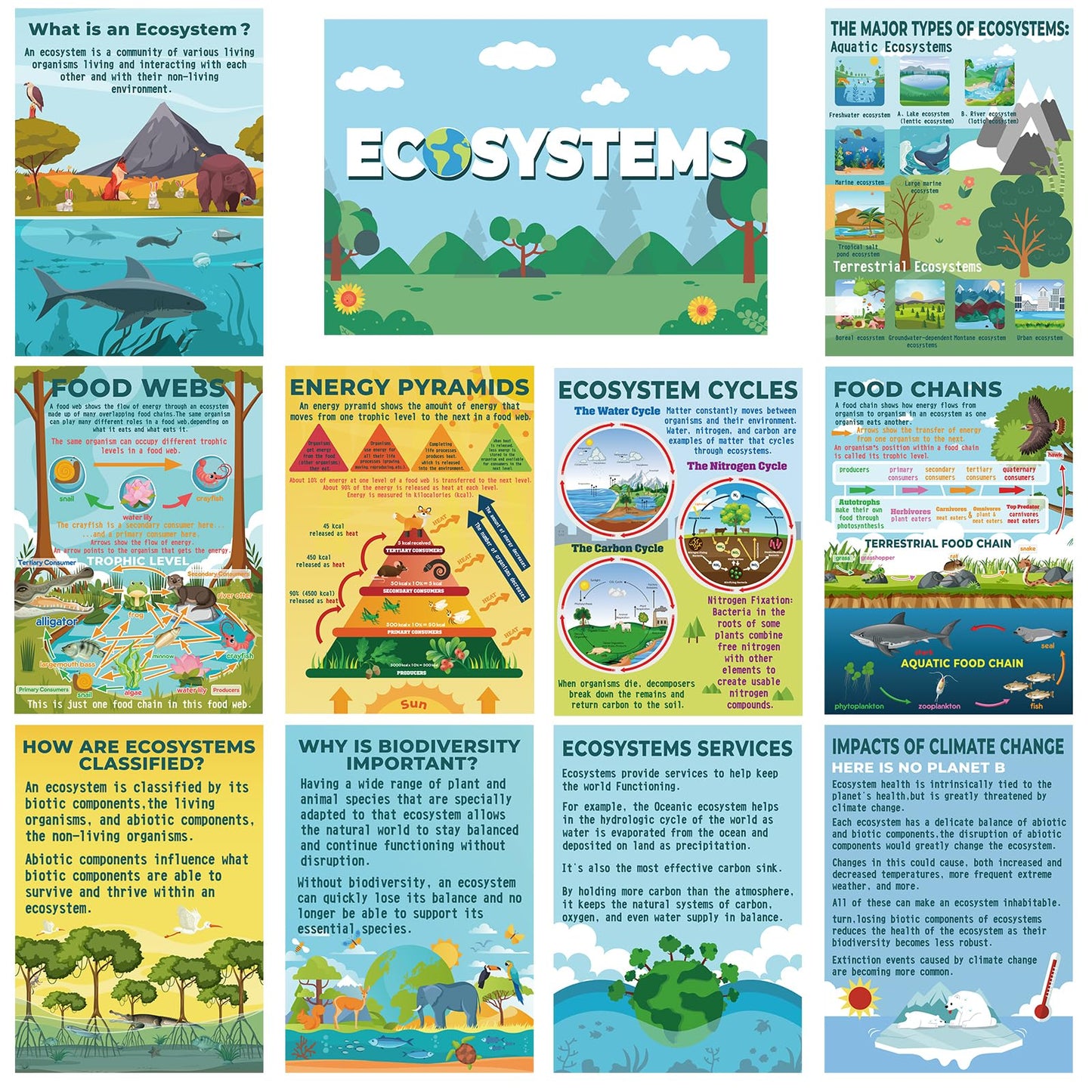 Pasimy 11 Pcs Science Biology Posters- Ecosystems