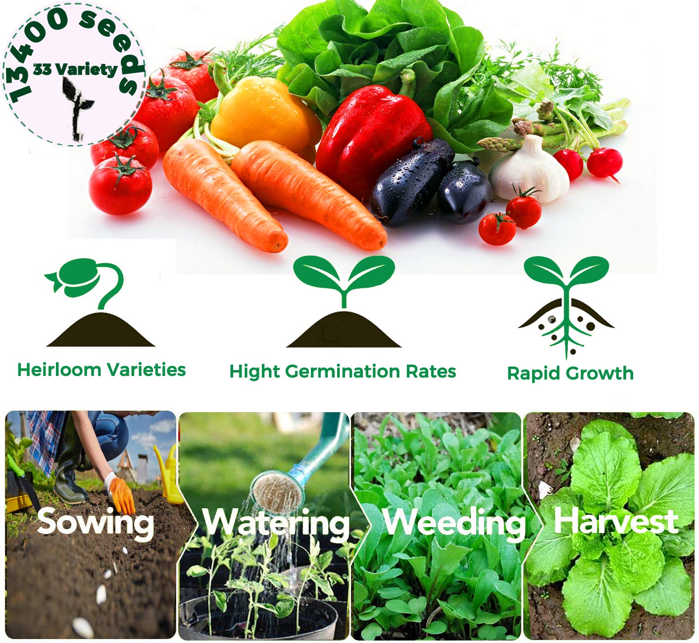 Starter Seed Kit: 15,000+ Seeds, 40 Heirloom Fruit & Vegetable Varieties