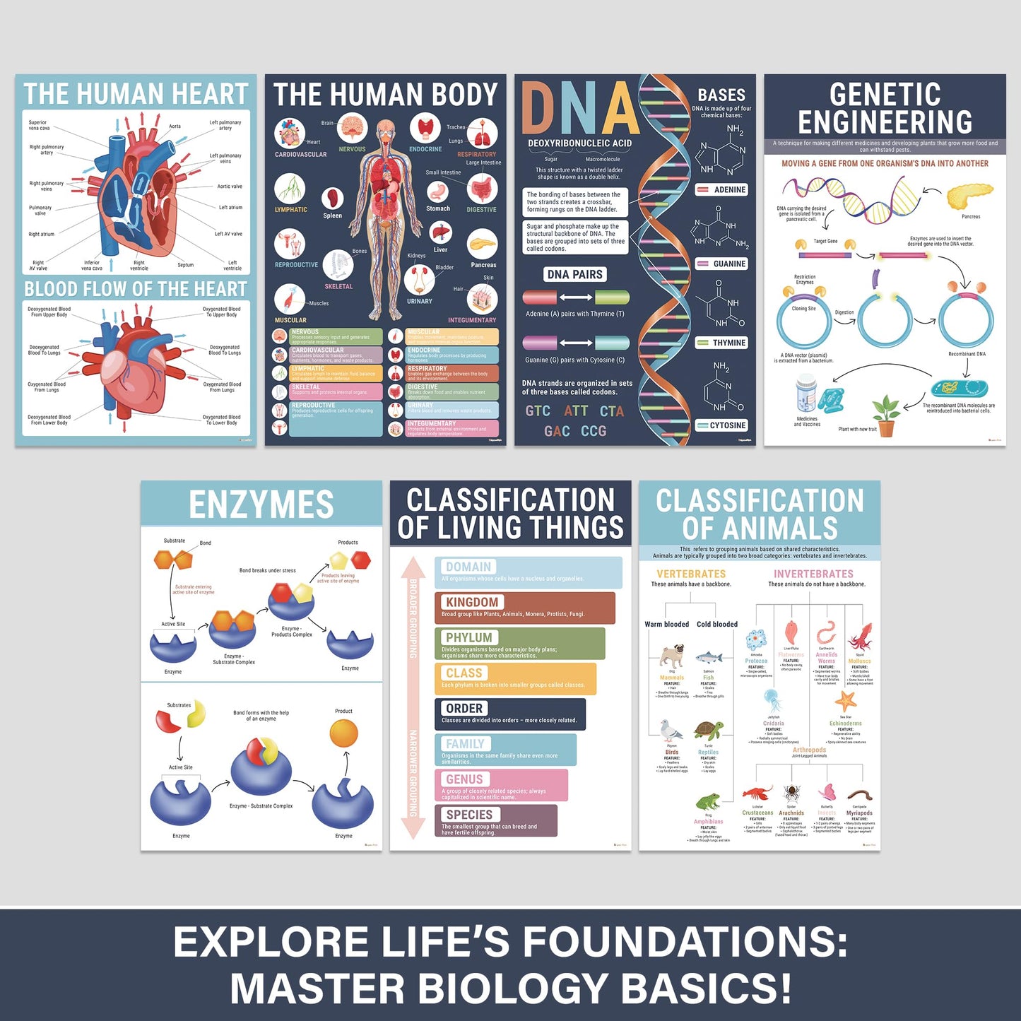 BrightenKidz Science Posters Pack 11x17