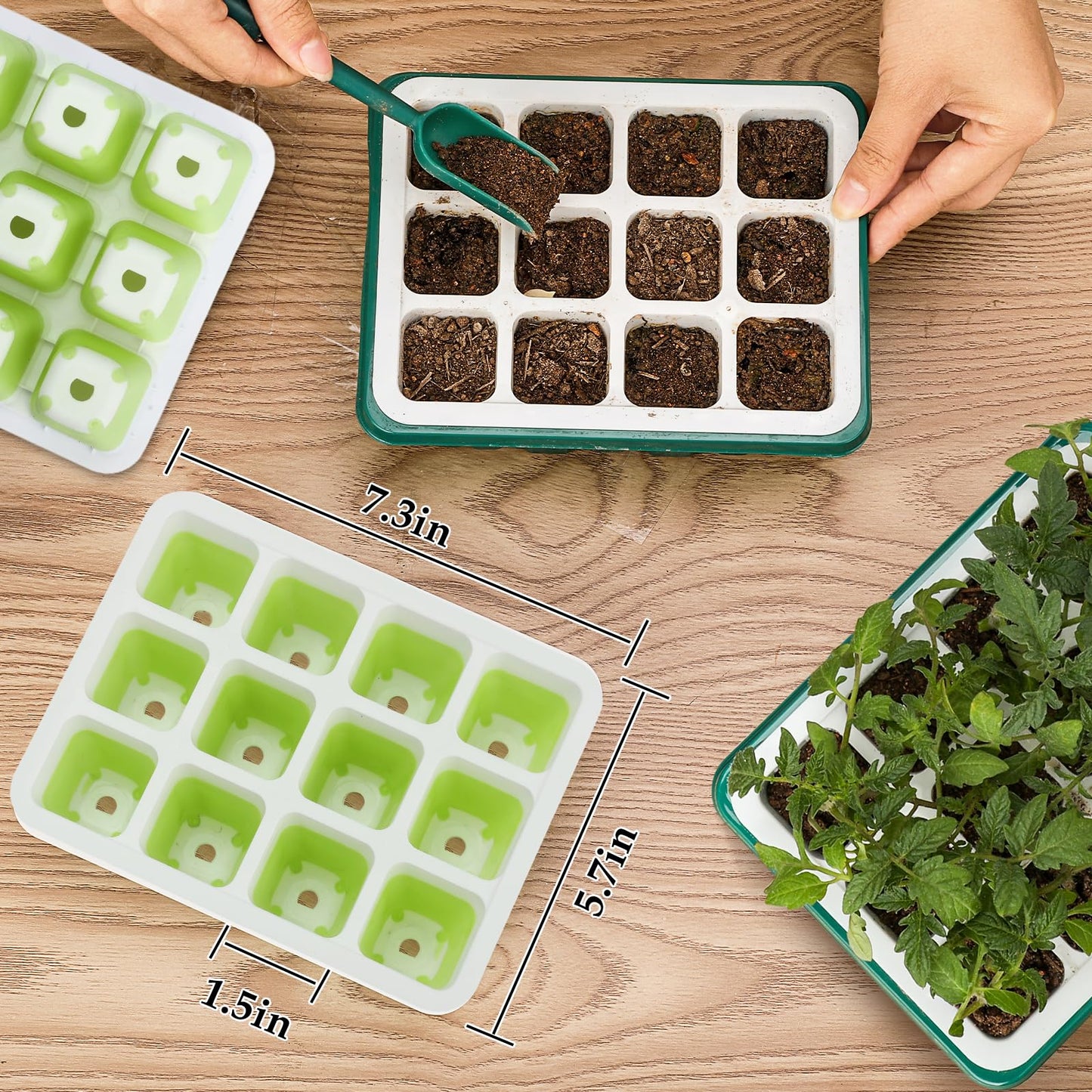 10pcs Reusable Seed Starter Tray, 120 Cells Seed Starter Kit