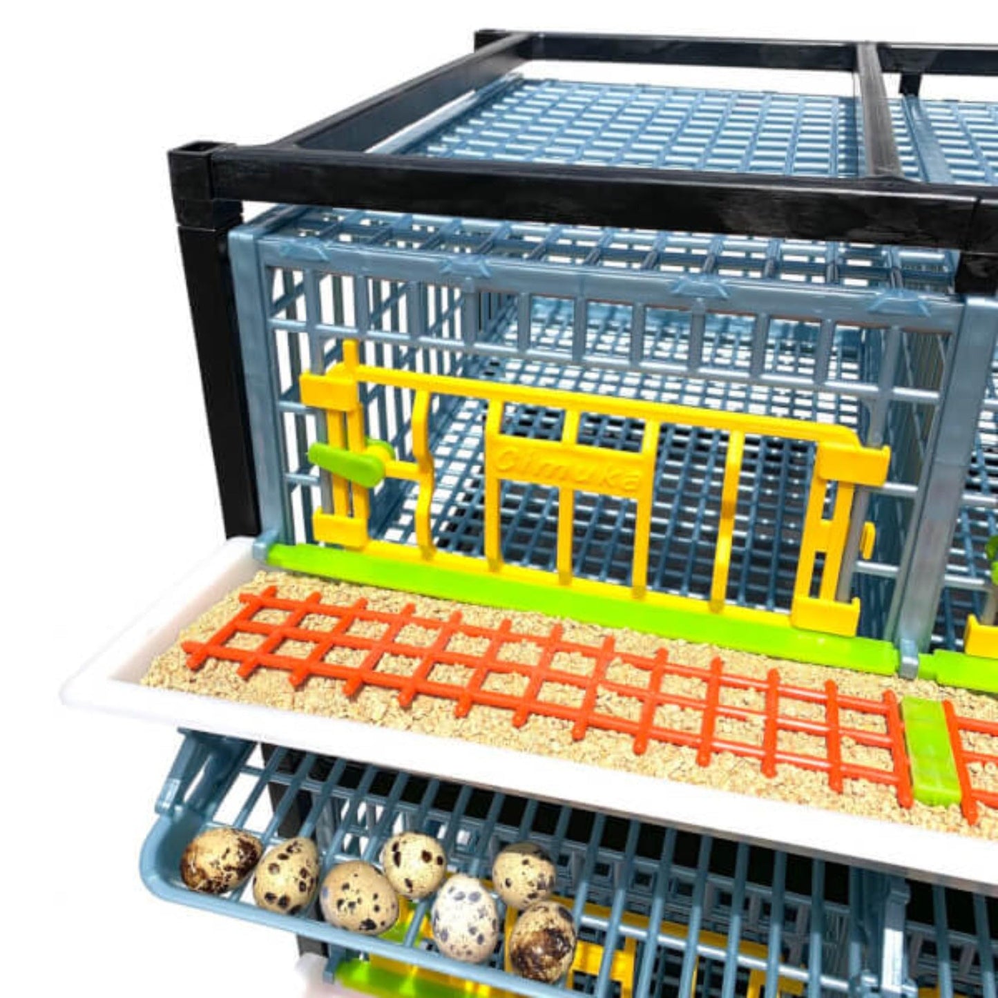 Quail Pen-   Size: 3 Section, Additional 2 Layer