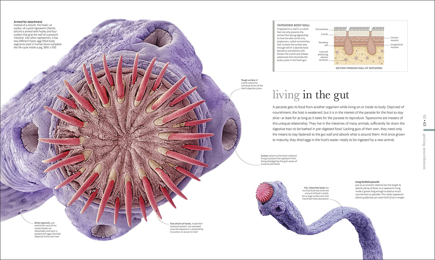Micro Life: Miracles of the Miniature World Revealed (DK Secret World Encyclopedias) (Packaging may vary)