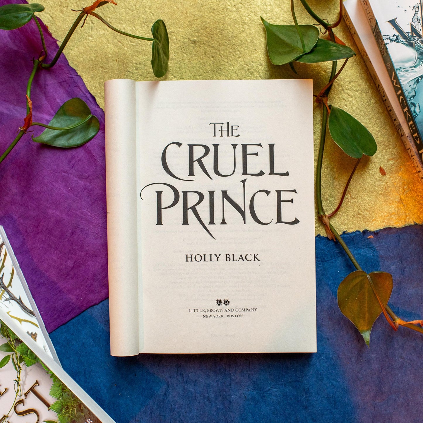 The Cruel Prince (Volume 1) (The Folk of the Air, 1)- PB