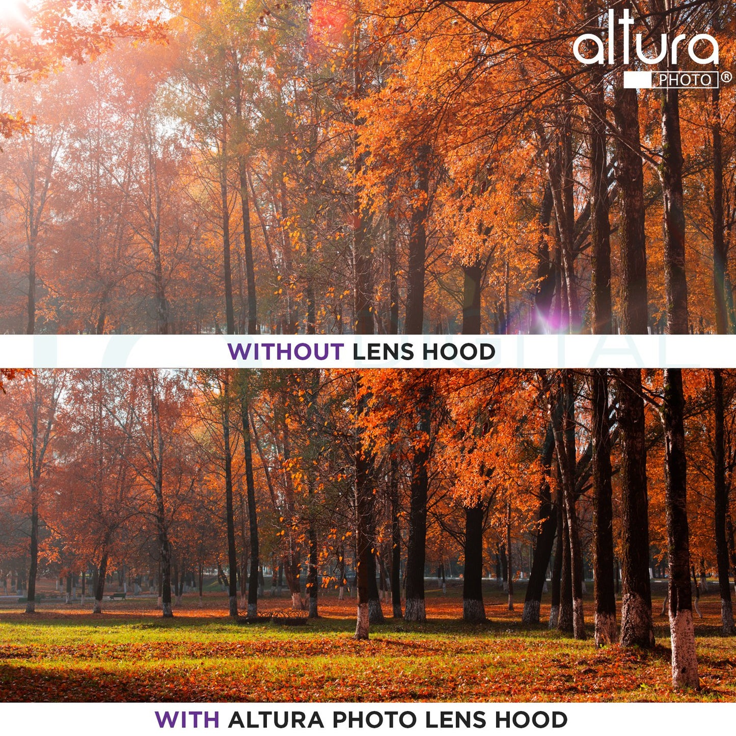 58MM Tulip Flower Lens Hood