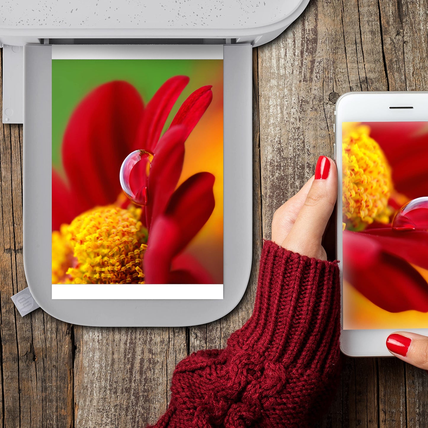 HP Sprocket Studio Plus 4 x 6” Photo Paper and Cartridges