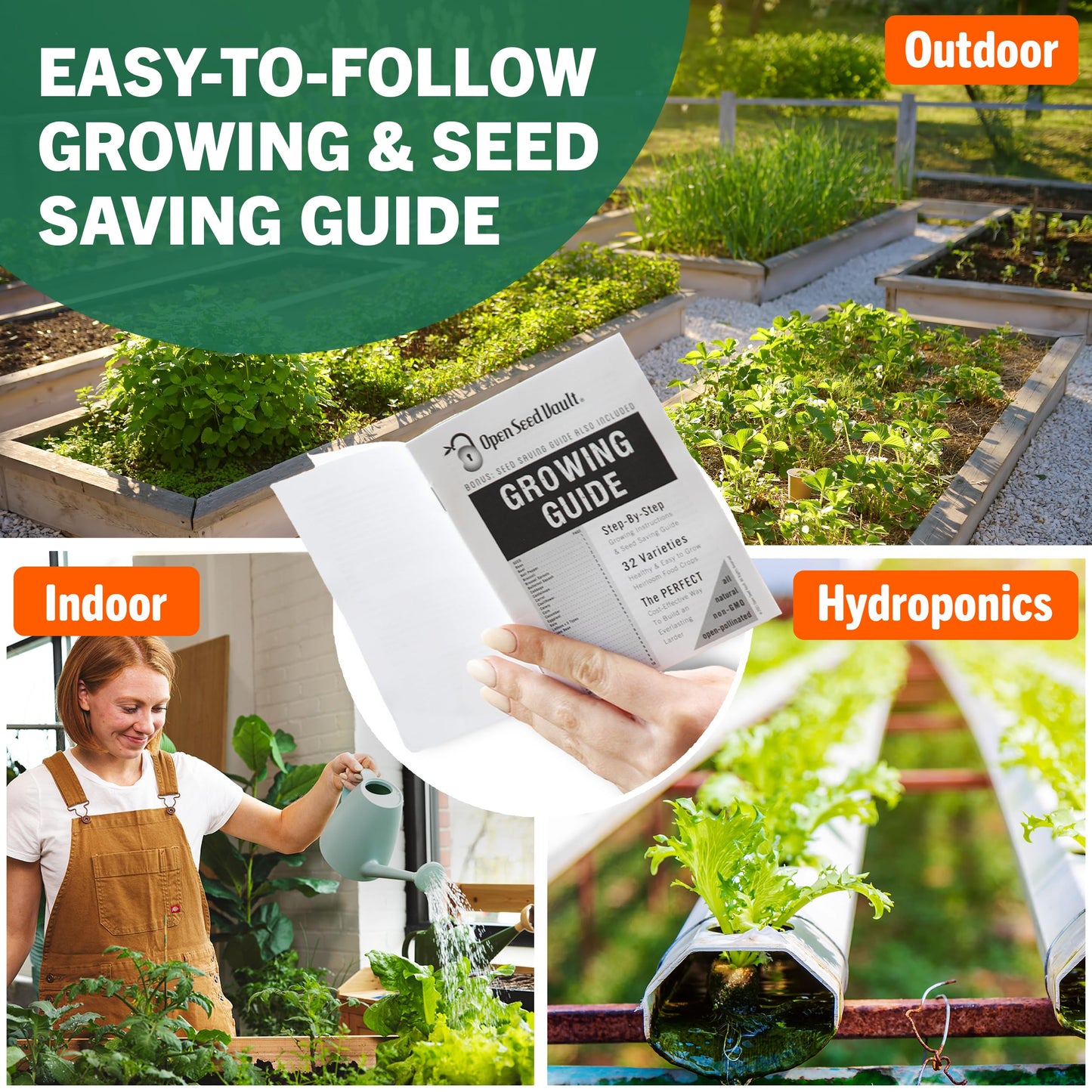 Non GMO Heirloom Vegetable Seeds for Planting Vegetables and Fruits - 32 Variety Pack of Vegetable Seeds for Gardening