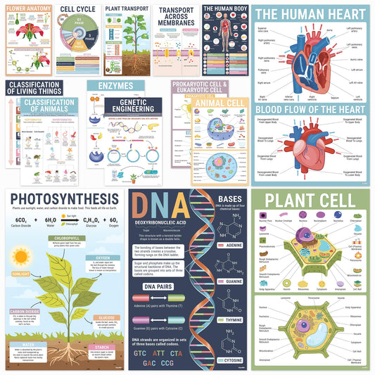 BrightenKidz Science Posters Pack 11x17