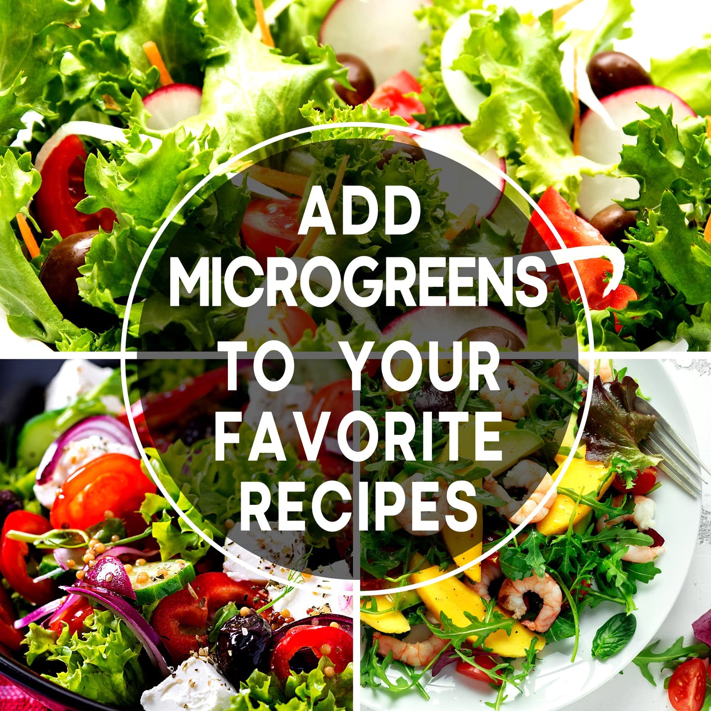 Starter Seed Kit: 15,000+ Seeds, 40 Heirloom Fruit & Vegetable Varieties