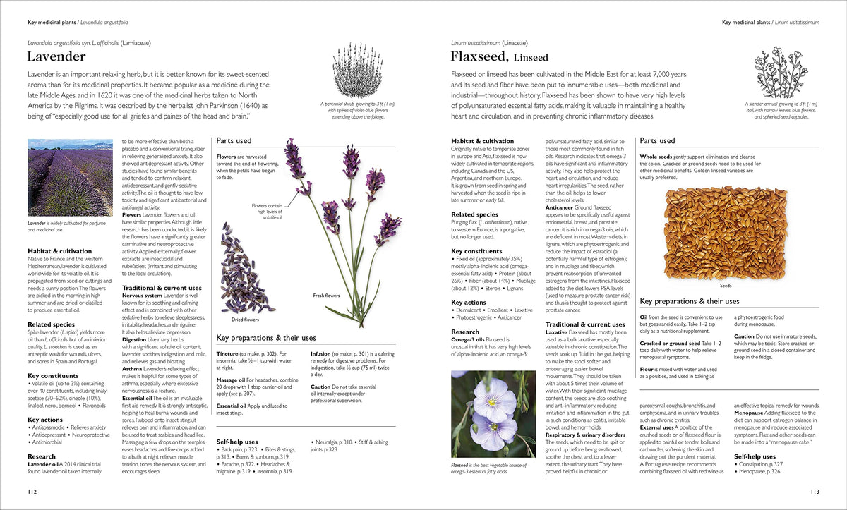 Encyclopedia of Herbal Medicine New Edition: 560 Herbs and Remedies for Common Ailments- hardcover