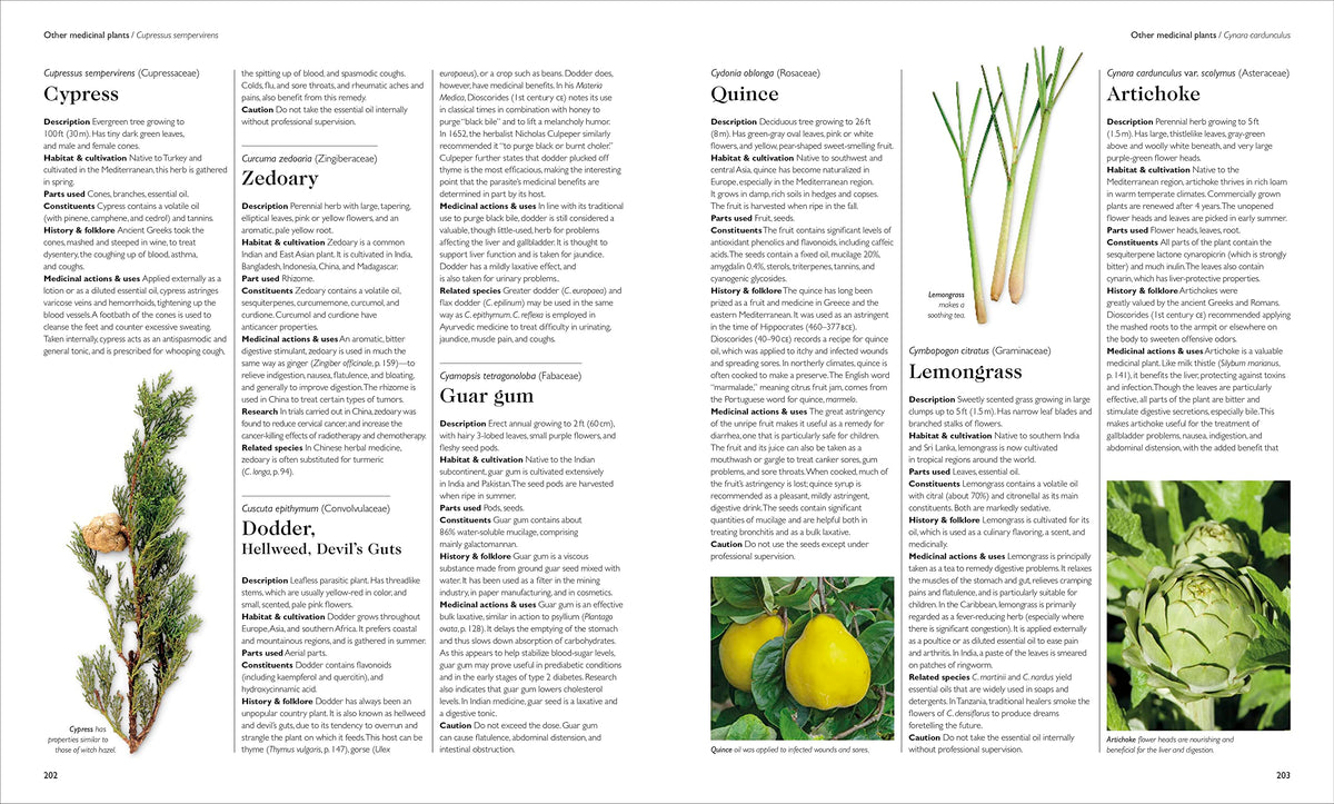 Encyclopedia of Herbal Medicine New Edition: 560 Herbs and Remedies for Common Ailments- hardcover
