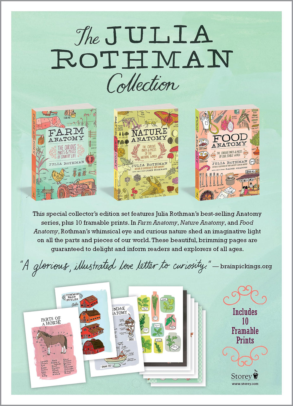 The Julia Rothman Collection: Farm Anatomy, Nature Anatomy, and Food A ...