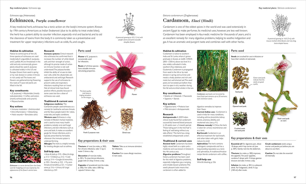 Encyclopedia of Herbal Medicine New Edition: 560 Herbs and Remedies for Common Ailments- hardcover