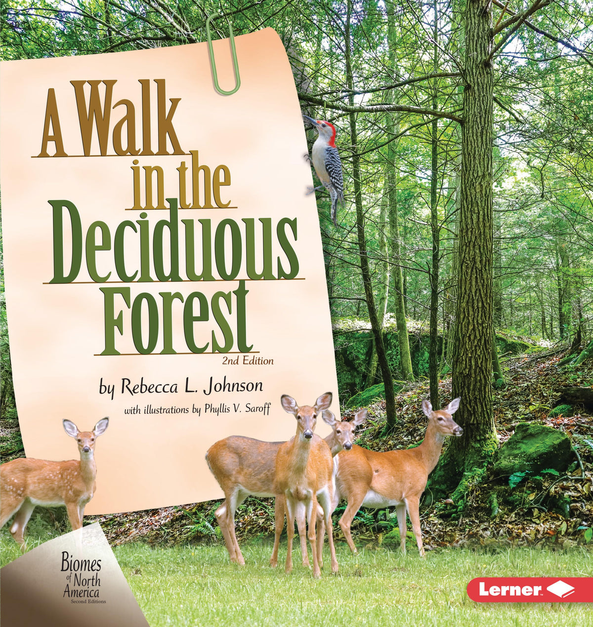 A Walk in the Deciduous Forest, 2nd Edition (Biomes of North America Second Editions)- paperback