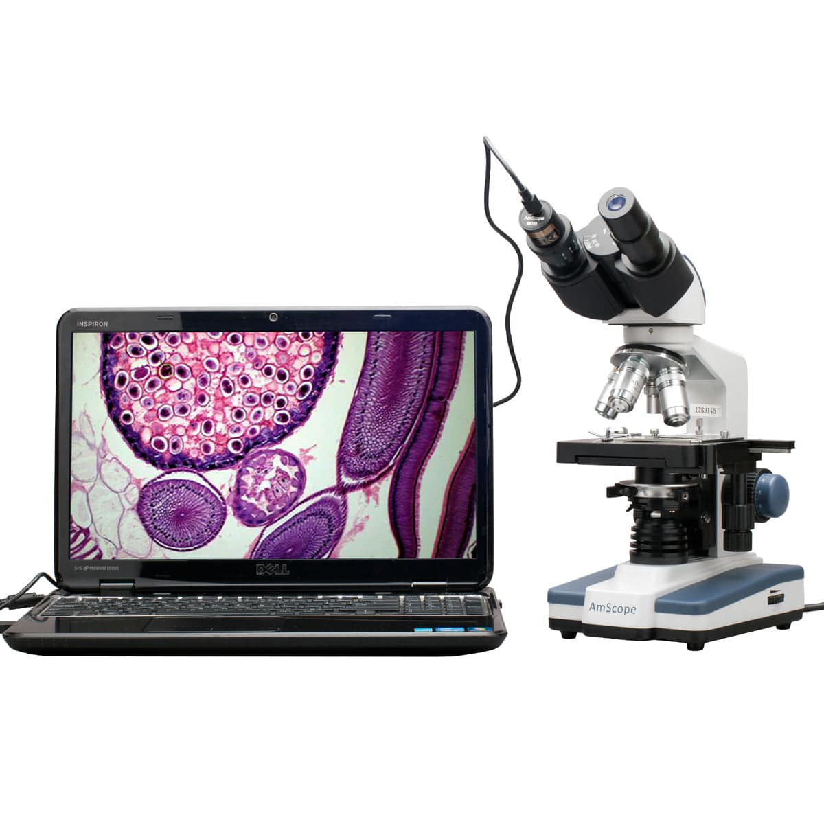 AmScope B120 Series Student & Professional LED Binocular Compound Microscope 40X-2500X Magnification With Digital Camera and 3D Stage