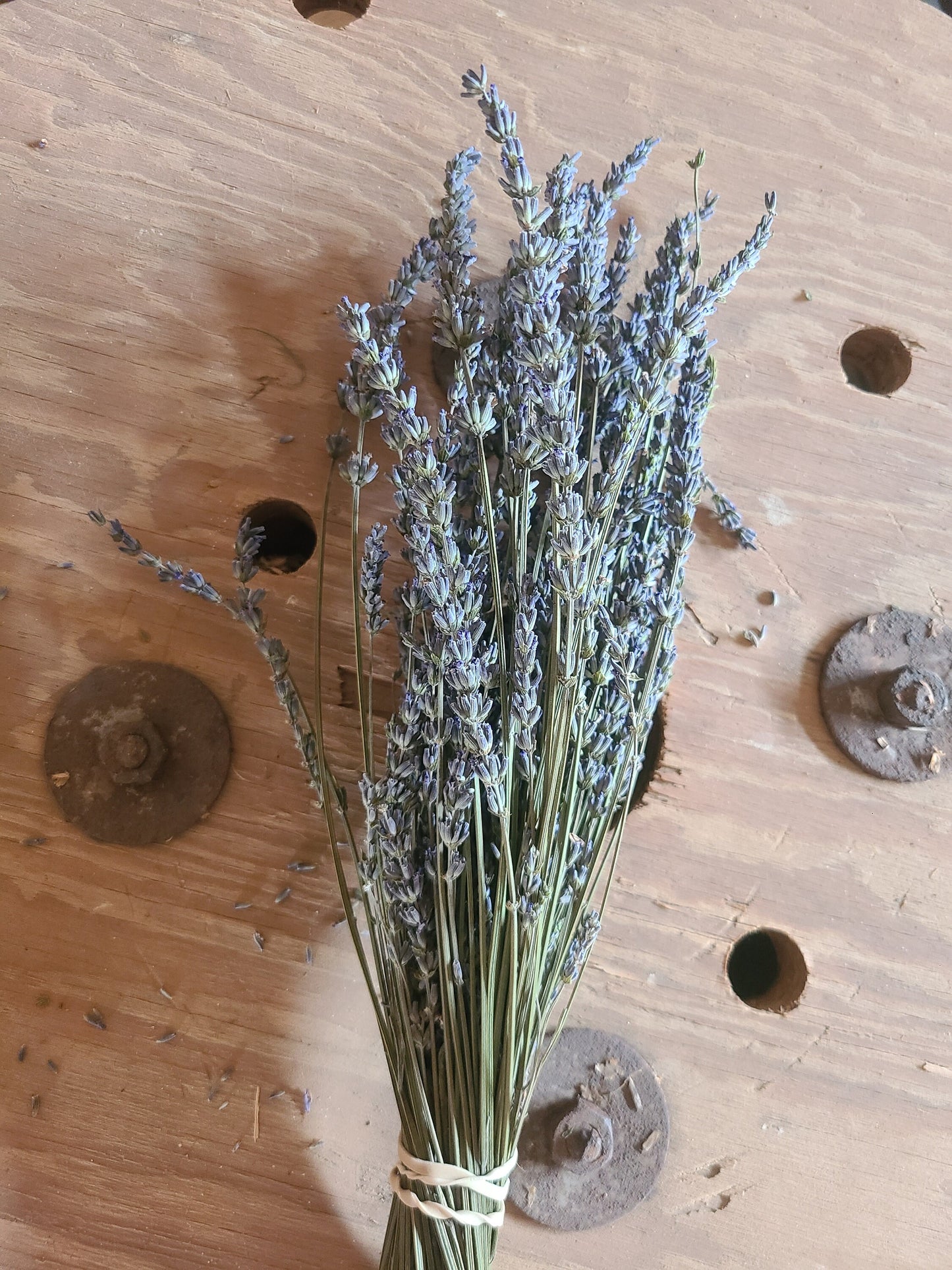 Lavender Grosso Bundle