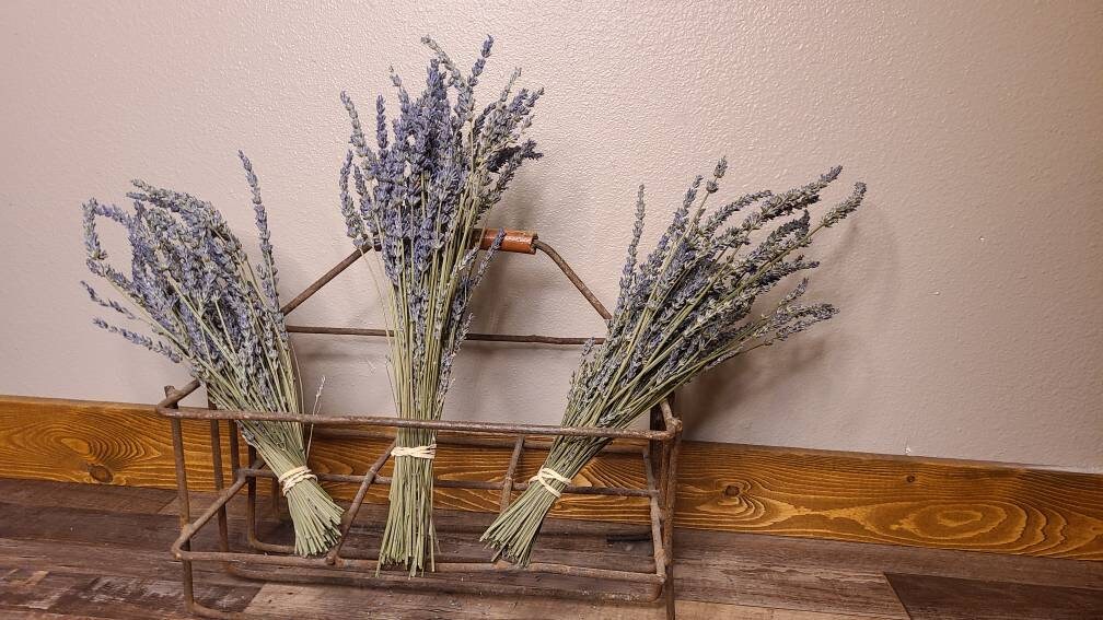 Lavender Grosso Bundle
